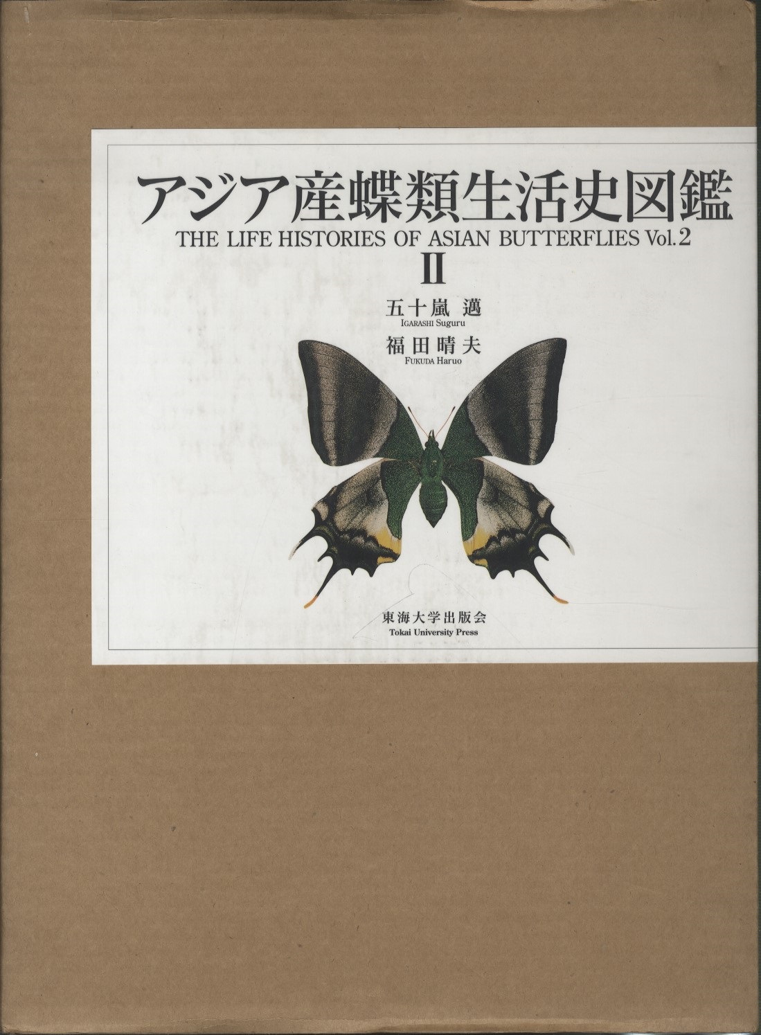 アジア産蝶類生活史図鑑