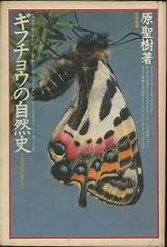 明倫館書店 / 蝶類・蛾類