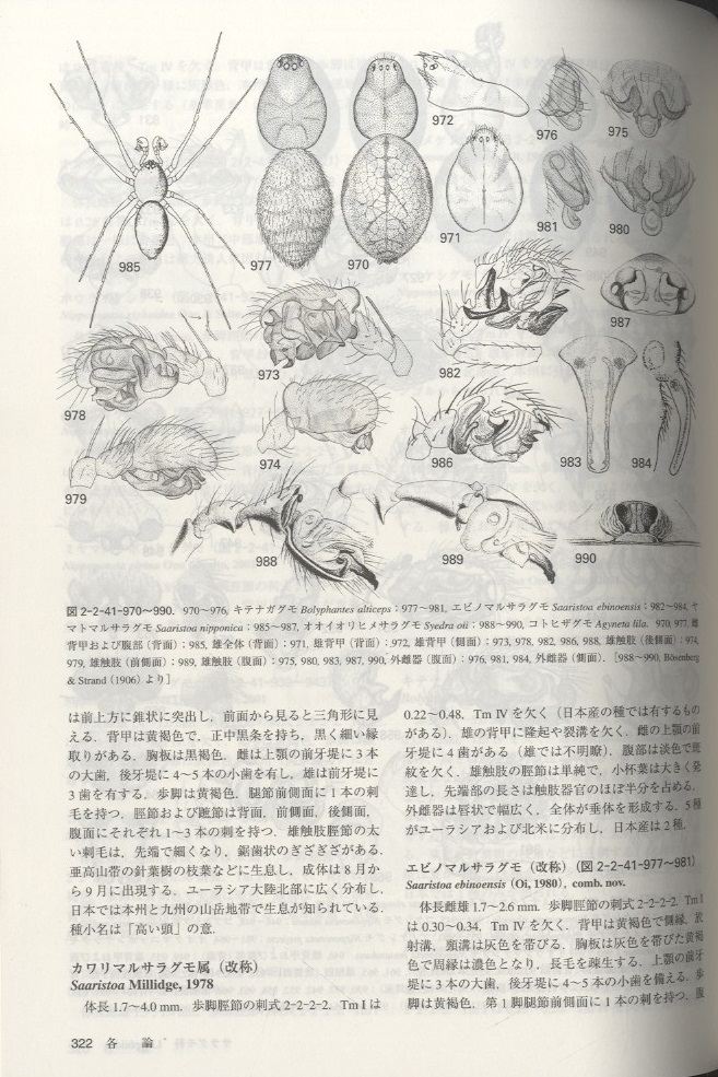 日本産クモ類生態図鑑: 自然史と多様性