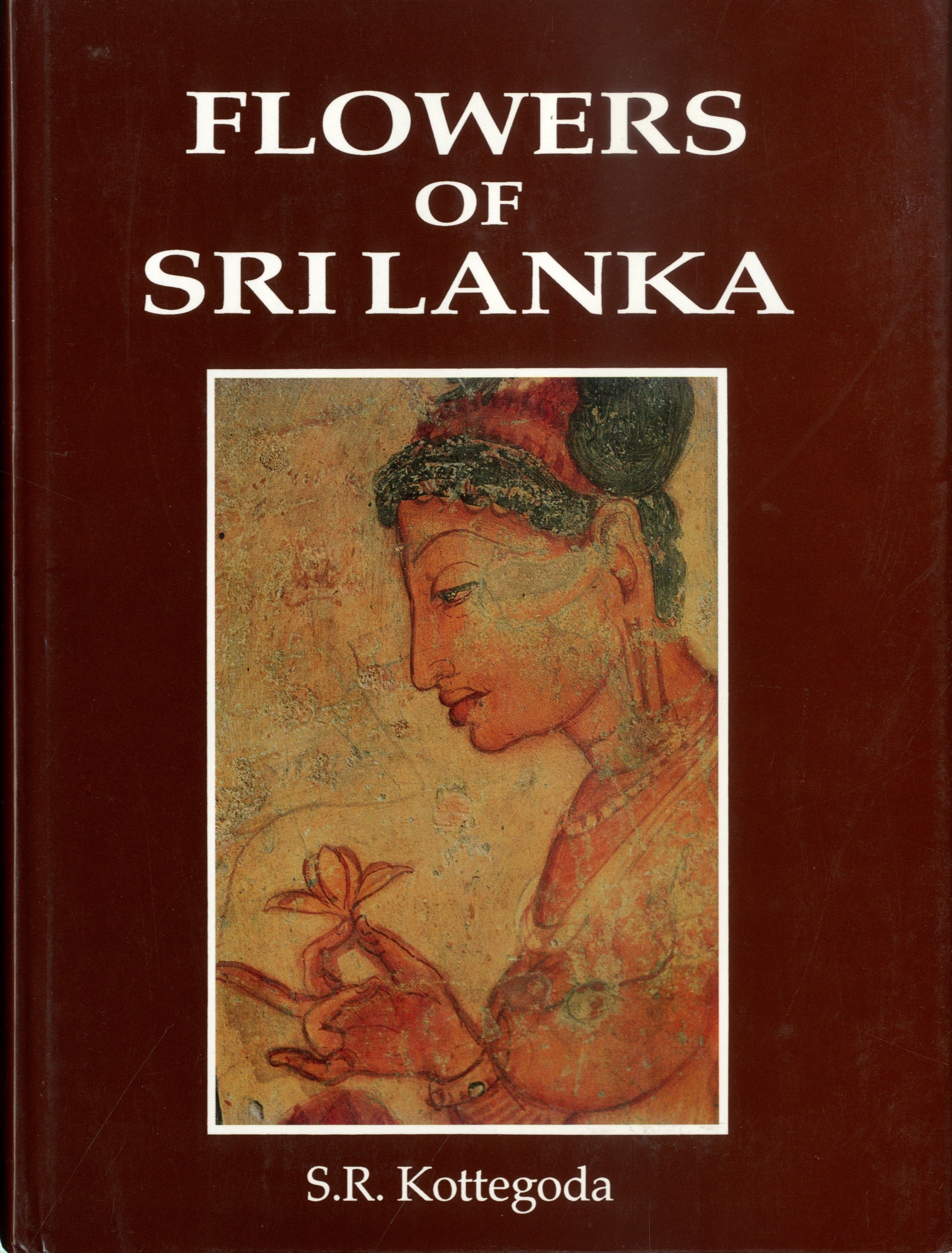 Flowers Of Sri Lanka Kottegoda S R 明倫館書店 古本 中古本 古書籍の通販は 日本の古本屋 日本の古本屋