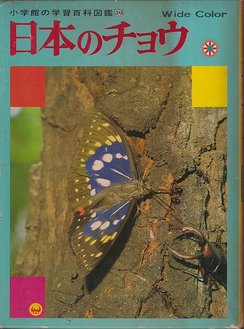 明倫館書店 日本のチョウ