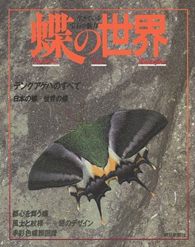明倫館書店 / 蝶類・蛾類