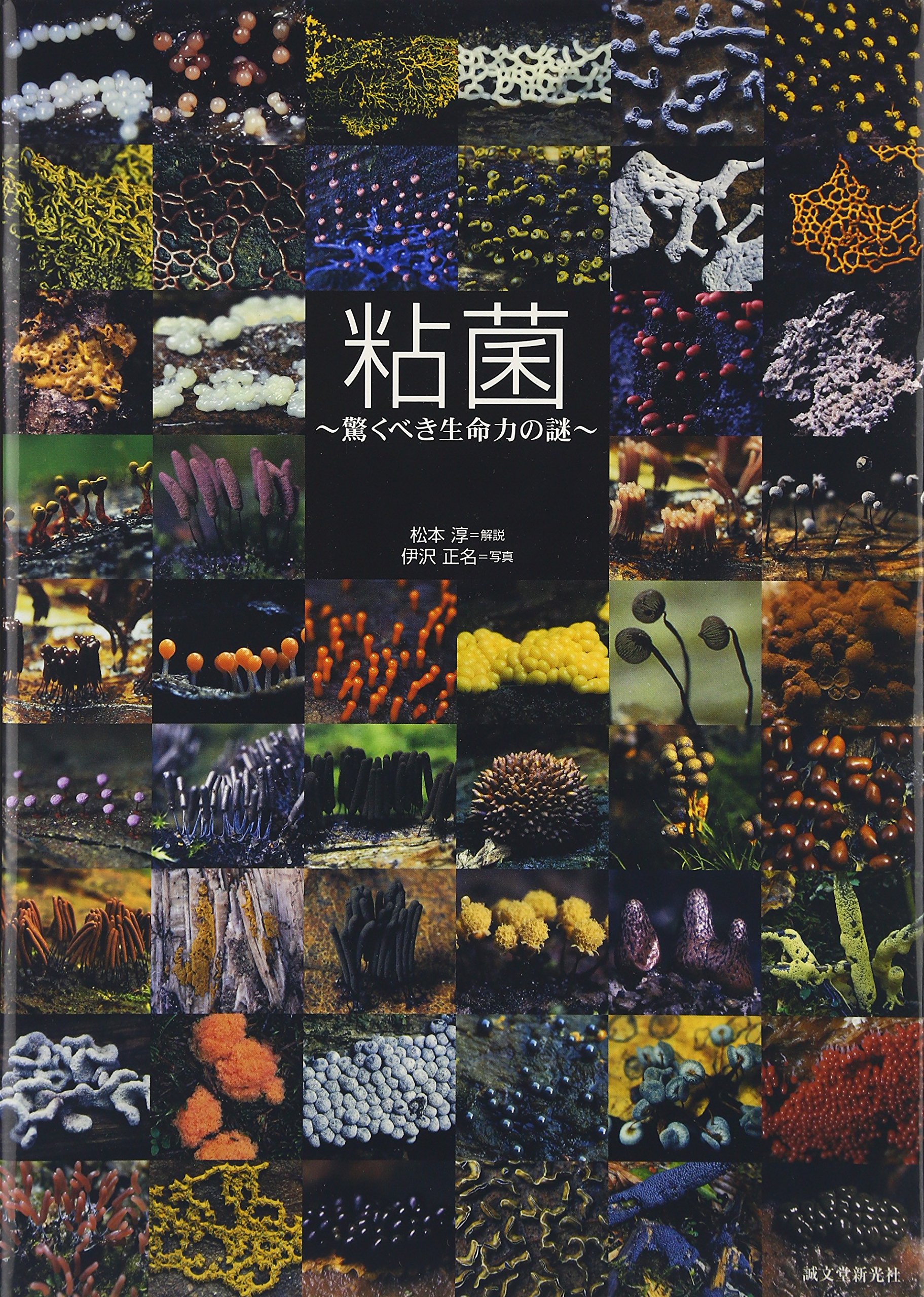 明倫館書店 / 地衣・コケ・シダ・藻・菌類