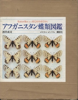 明倫館書店 / 蝶類・蛾類