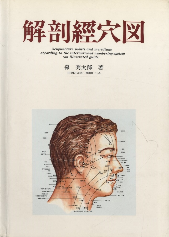 貴重レア❗️十四経穴位解剖掛図