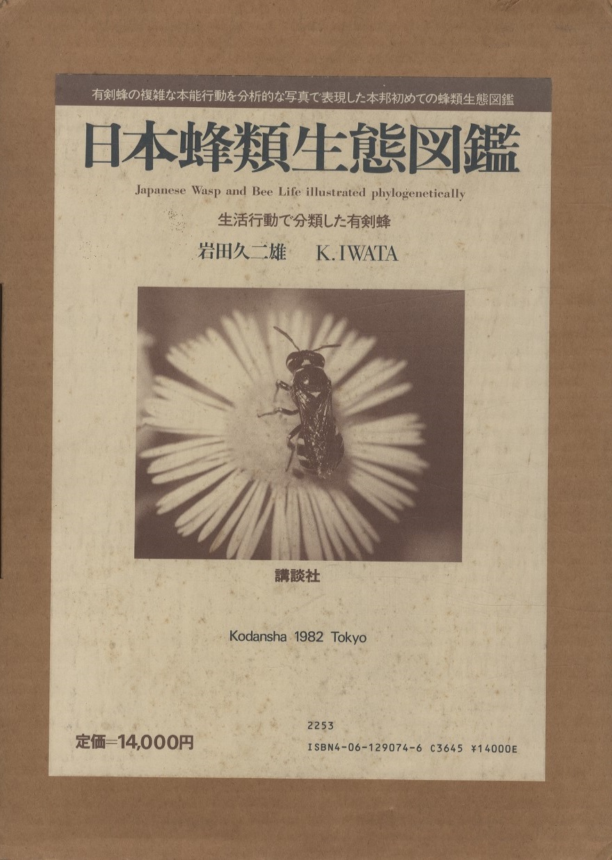 明倫館書店 日本蜂類生態図鑑 明倫館書店 日本蜂類生態図鑑