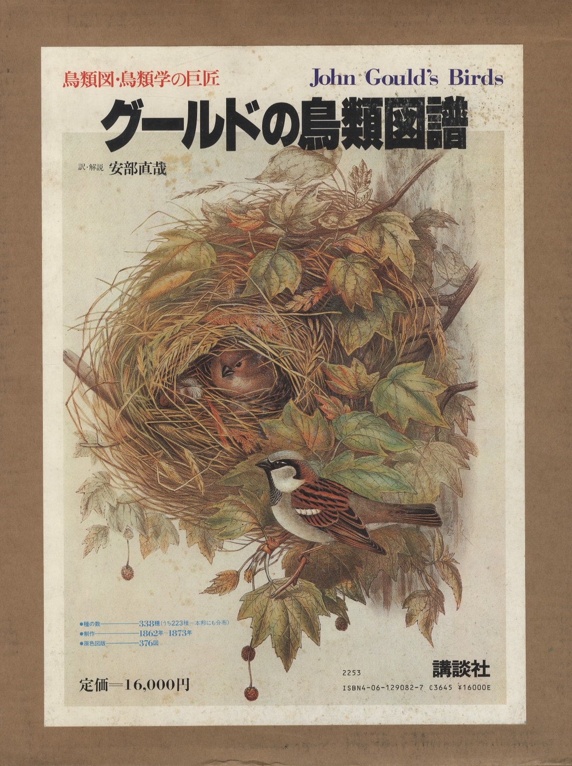 明倫館書店 鳥類
