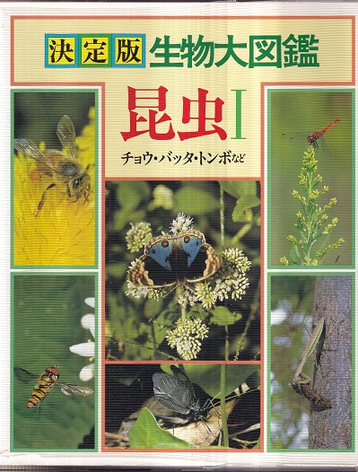 65 Off 送料無料 世界文化生物大図鑑 04年 昆虫 昆虫 ノンフィクション 教養 News Elegantsite Gr